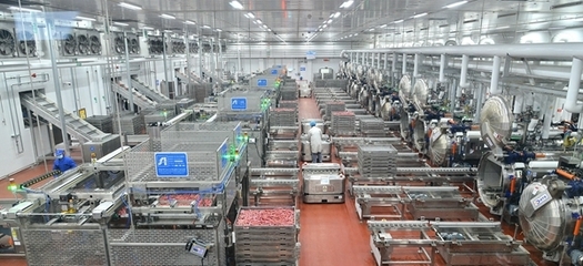 河南省委书记楼阳生到漯河市调研 走进双汇第一工业园车间