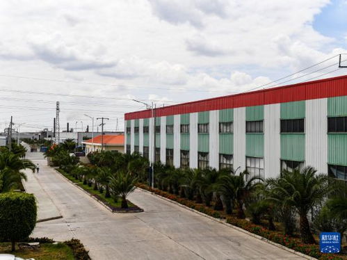 东方工业园助力“非洲屋脊”工业化进程