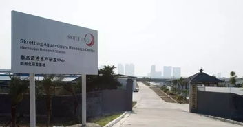 斗门8家企业荣登省级榜单，彰显工业园发展新活力