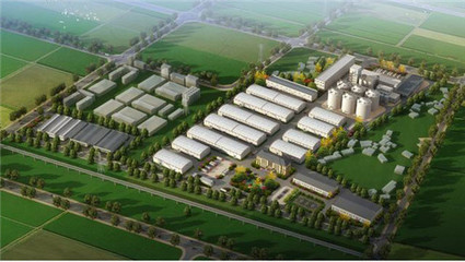 垫江直属库粮食储备库首次“开仓纳粮” 预计今年10月全面投用